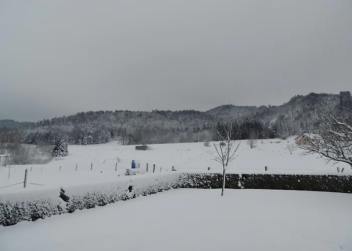 Horská chata 2007 *